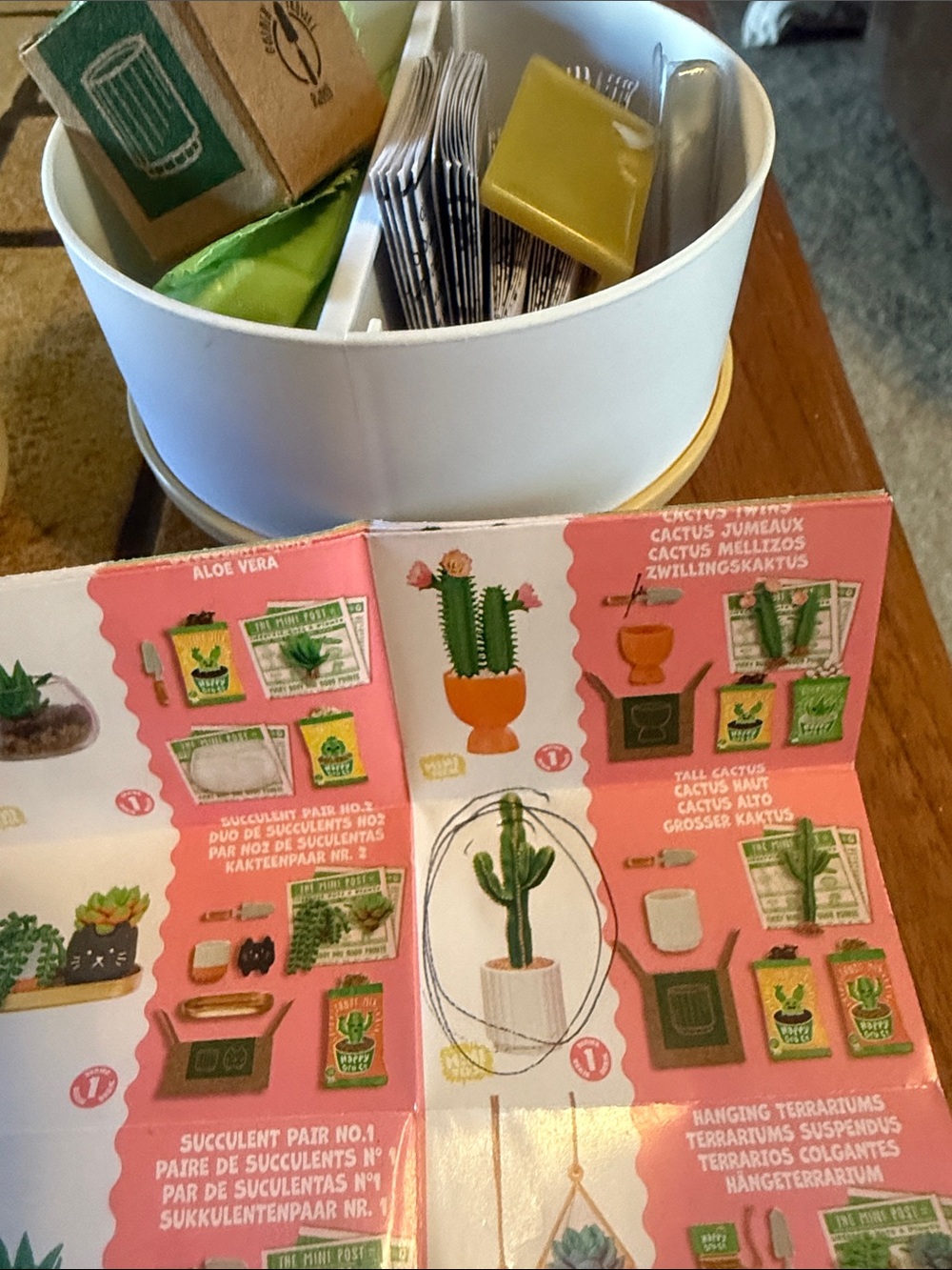 Miniverse Cactus   Brand New